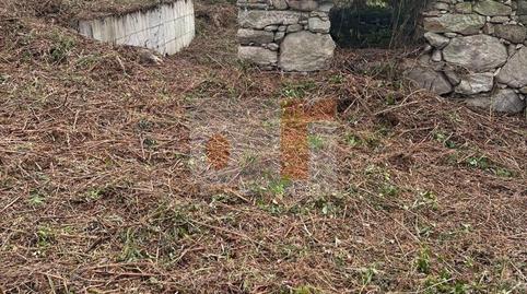 Foto 5 de Finca rústica en venda a Moaña, Pontevedra