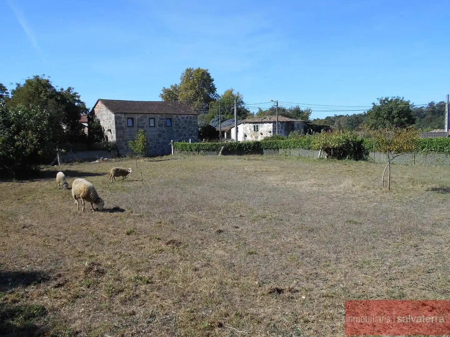 Terreny residencial en venda a Salvaterra de Miño
