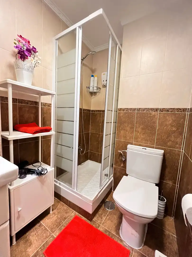 Baño de Piso de alquiler en Madrid con Aire acondicionado, Terraza y Amueblado