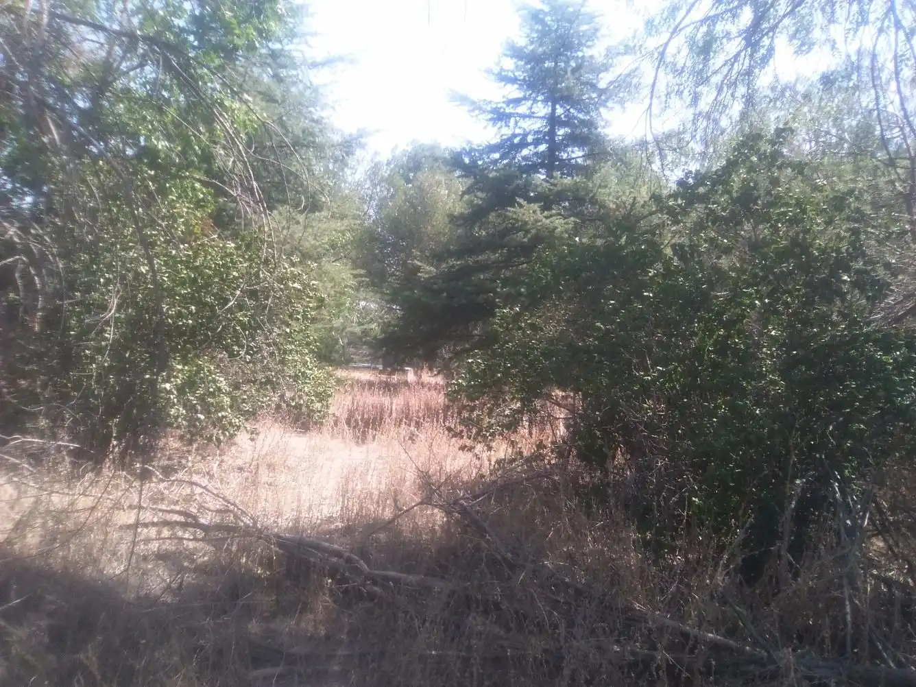 Residential for sale in Talamanca de Jarama