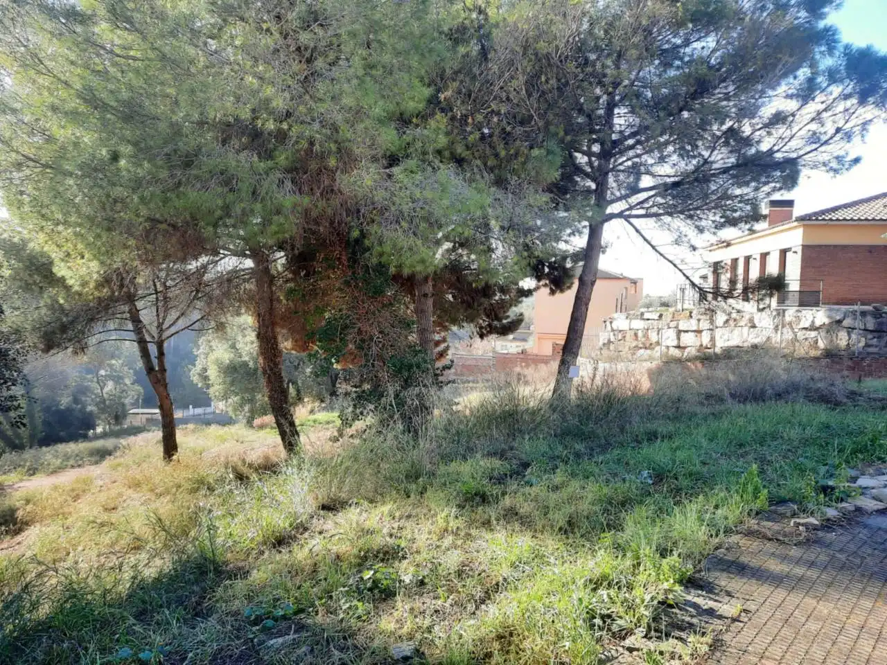 Terreny rústic en venda a Calle COMAPEDROSA, imagen 10