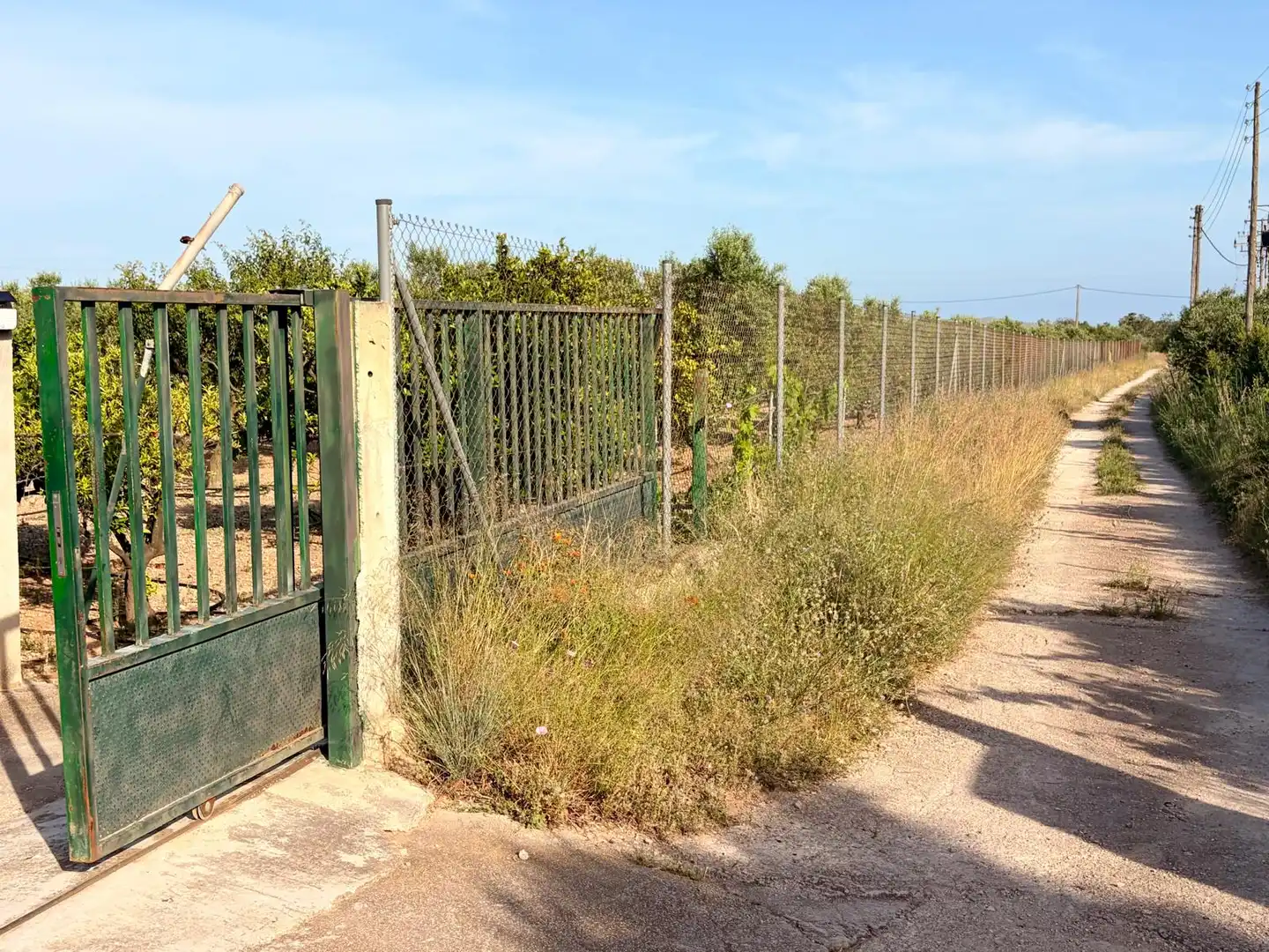 Finca rústica en venda en Mont-roig del Camp amb Calefacció i Jardí privat