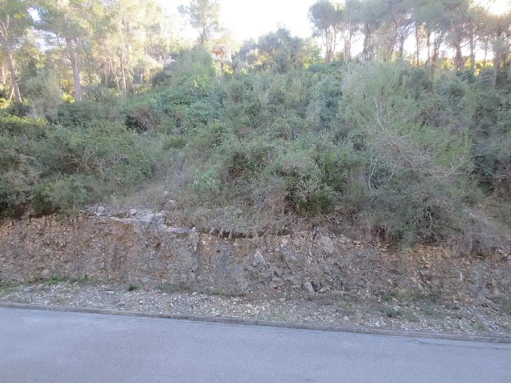 Rural land for sale in CL Pinos Nº 22, imagen 2