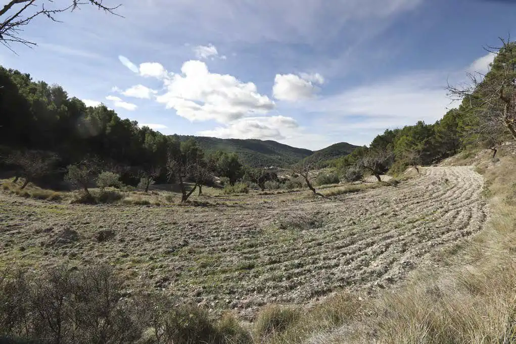 Casa rústica en venta en Torremanzanas / La Torre de les Maçanes, imagen 5