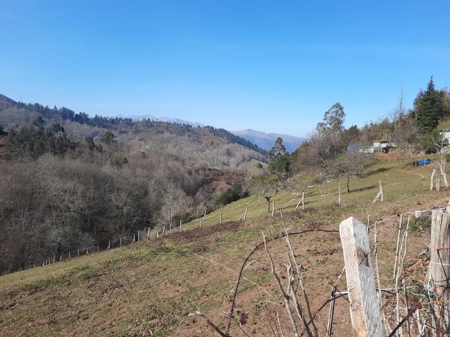 Grundstücke und Bauplätze zum Verkauf in Cangas de Onís, imagen 4