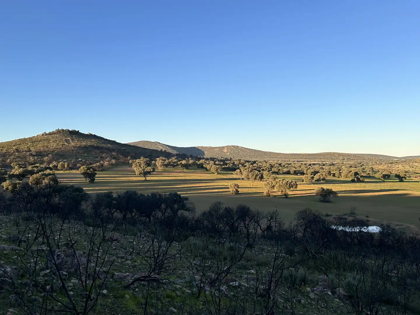 Terreny rústic en venda a Peraleda del Zaucejo, imagen 29