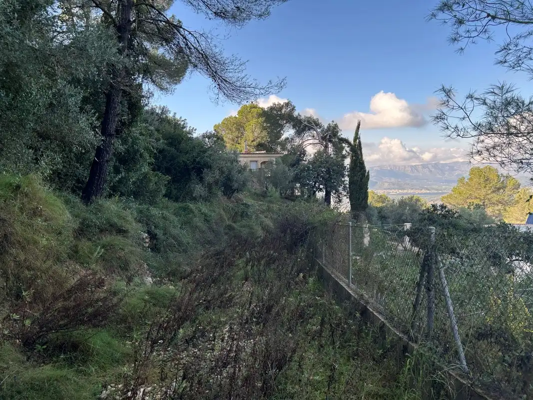 Rural land for sale in Partida Tancaes, imagen 13