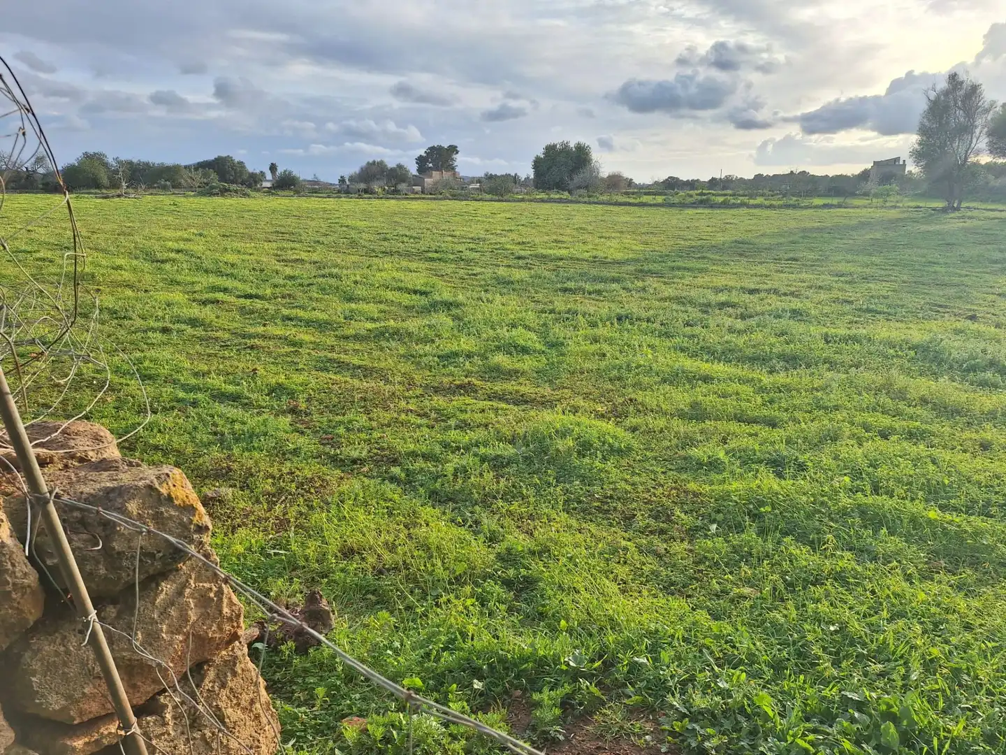 Finca rústica en venta en Algaida