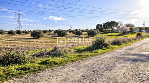 Photo 4 of Residential for sale in Torrecastillo, Seseña