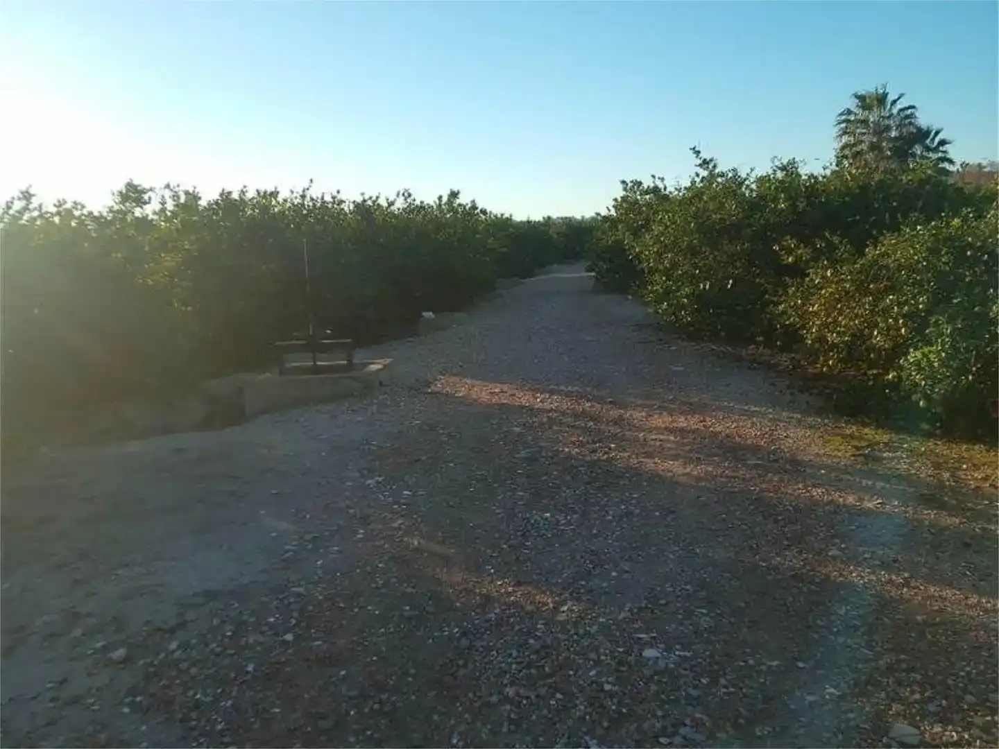 Terreno en venta en Orihuela