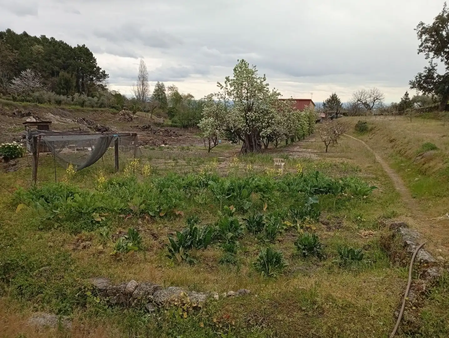 Terreni e lotti in vendita a Villanueva de la Vera, imagen 39