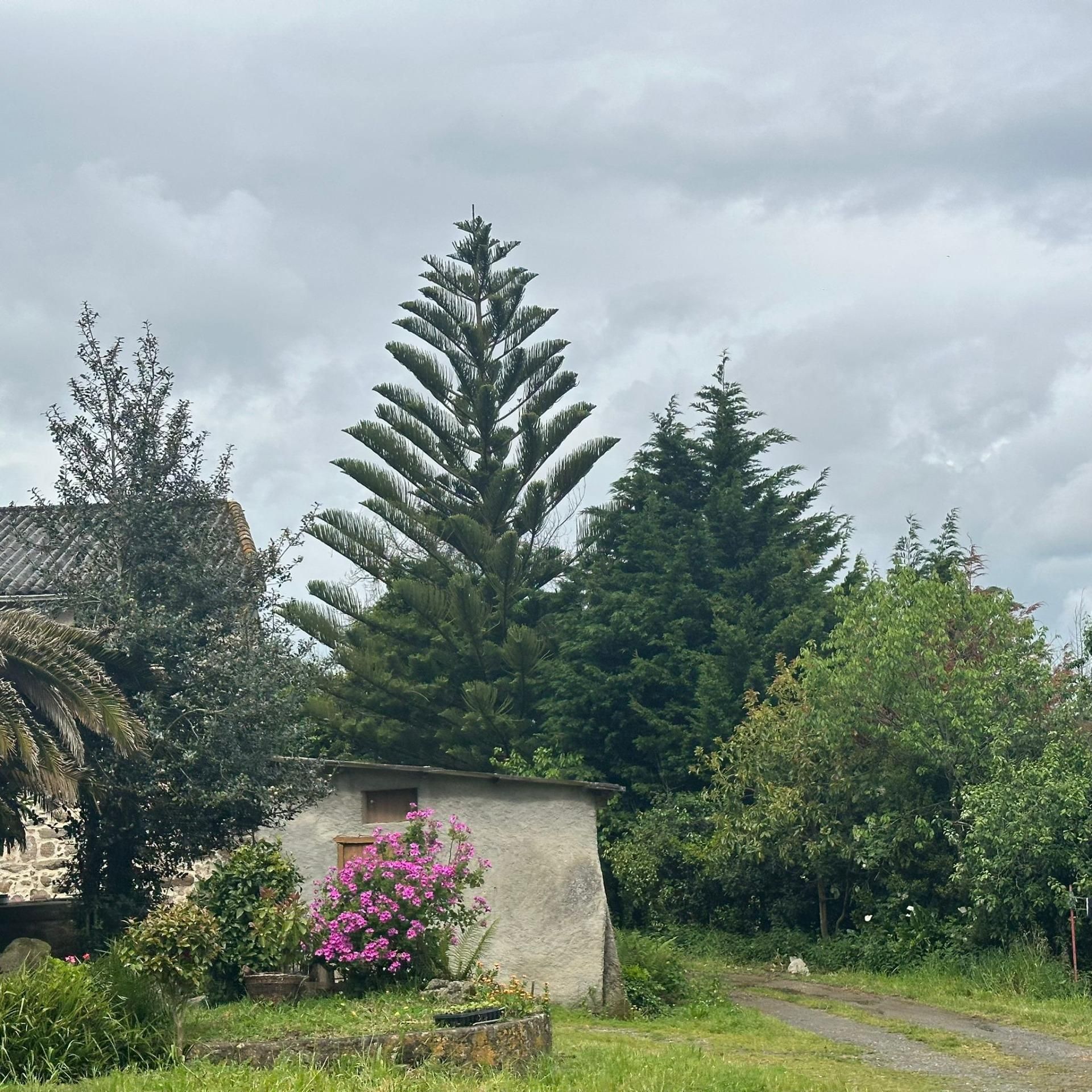 Garden of House or chalet for sale in Culleredo  with Private garden