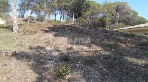 Parcela en venta en Sils