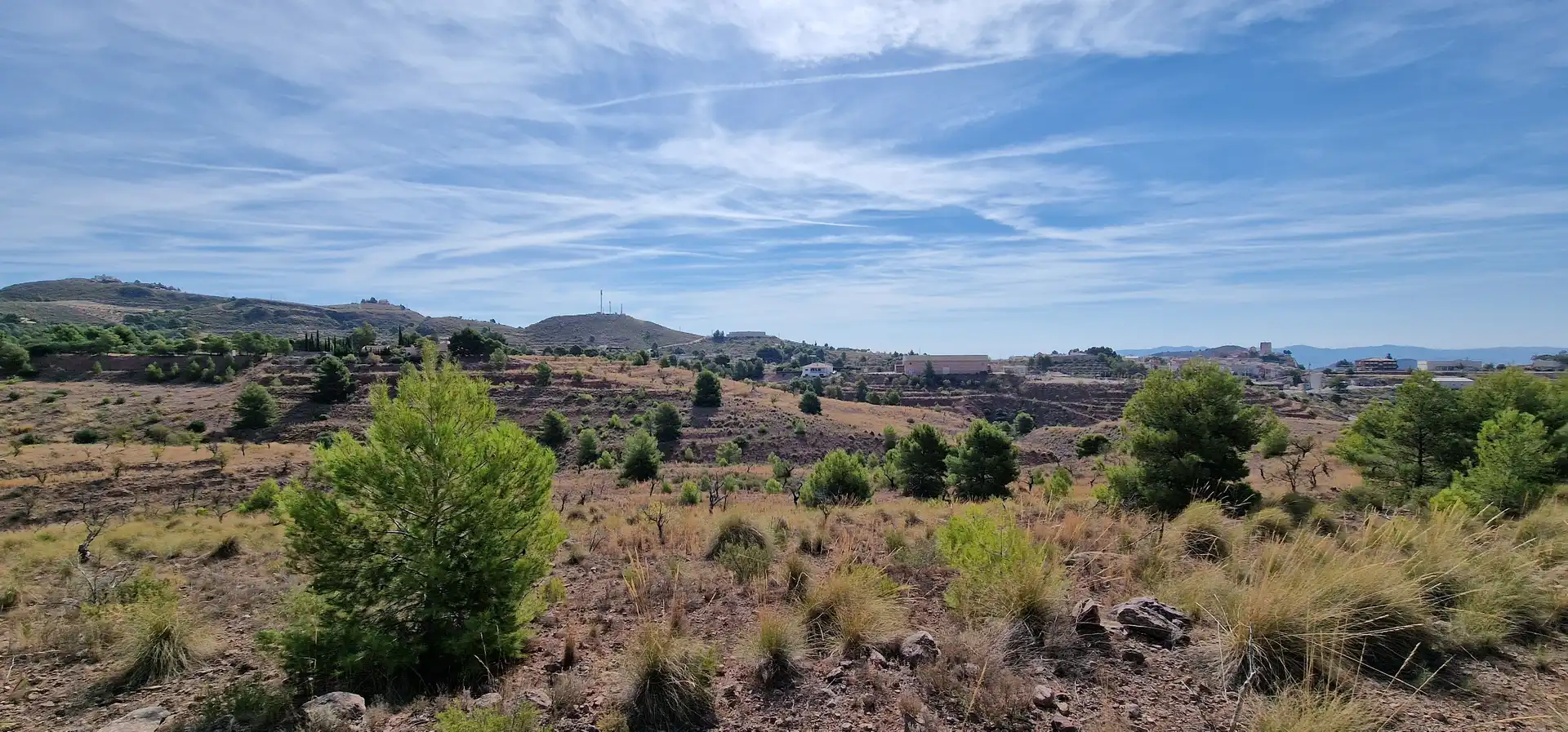 Residential land for sale in Aledo, imagen 2