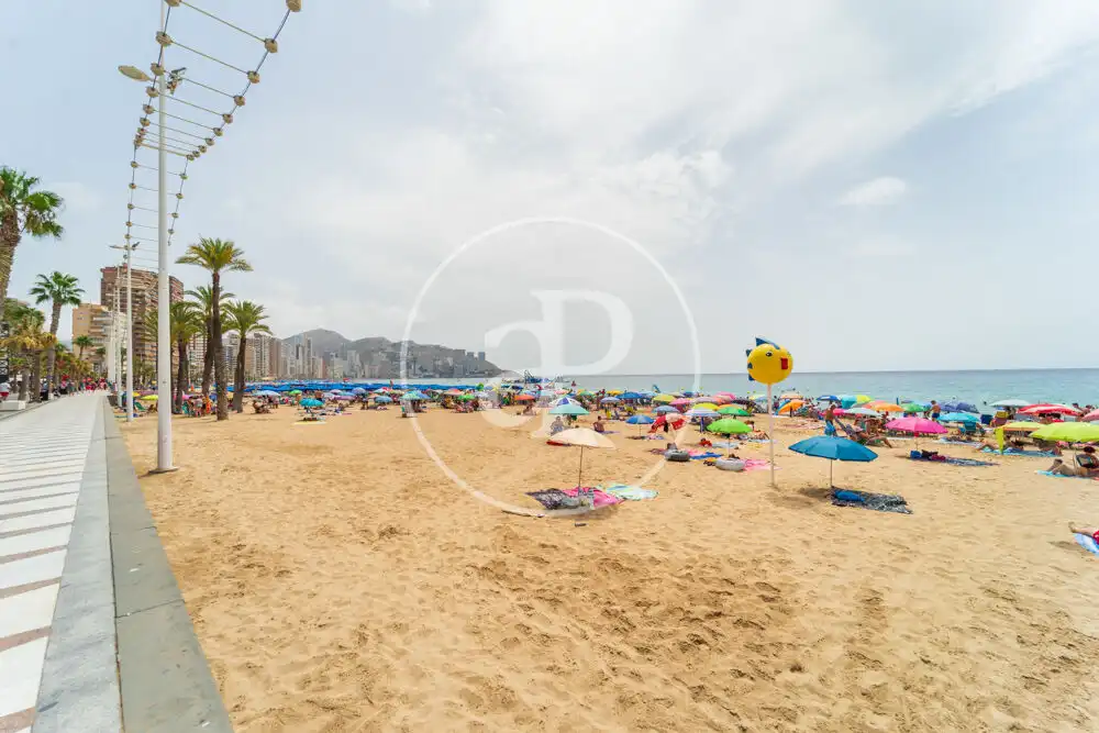 Exterior view of Flat for sale in Benidorm  with Heating, Terrace and Furnished