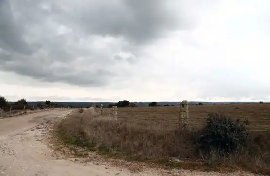 Terreno en venta en La Alamedilla 