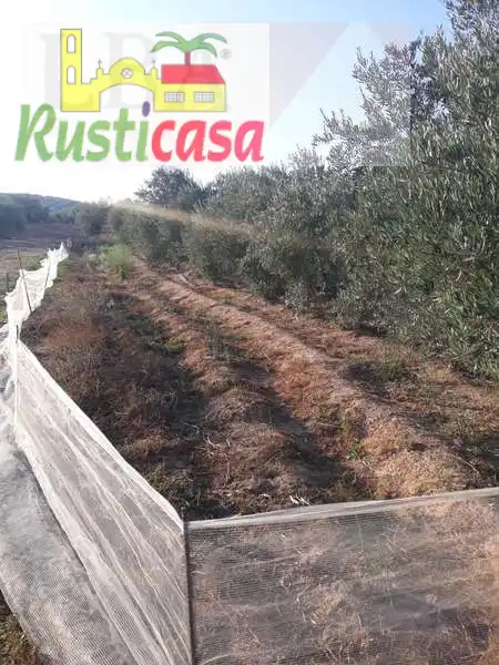 Terreni e lotti in vendita a Angulo 1, imagen 18