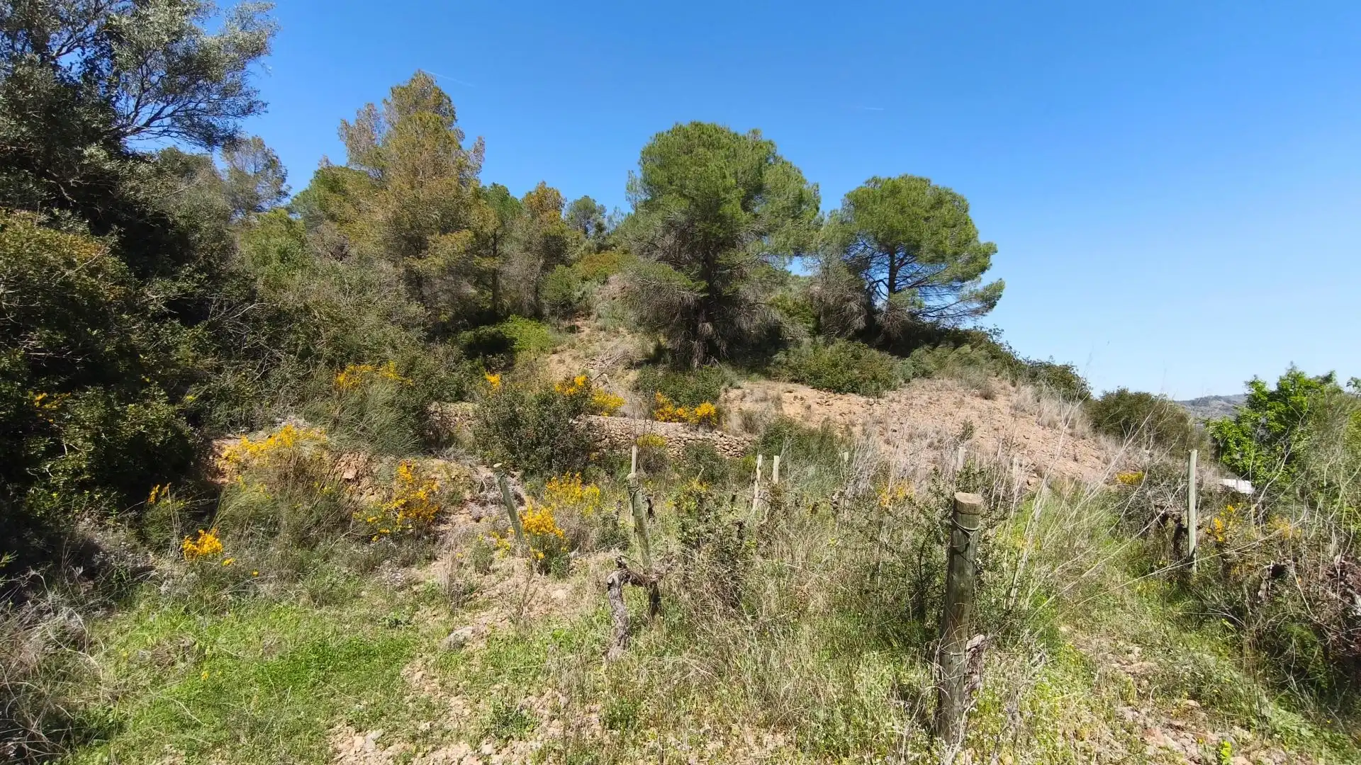Grundstücke zum Verkauf in El Molar (Tarragona)