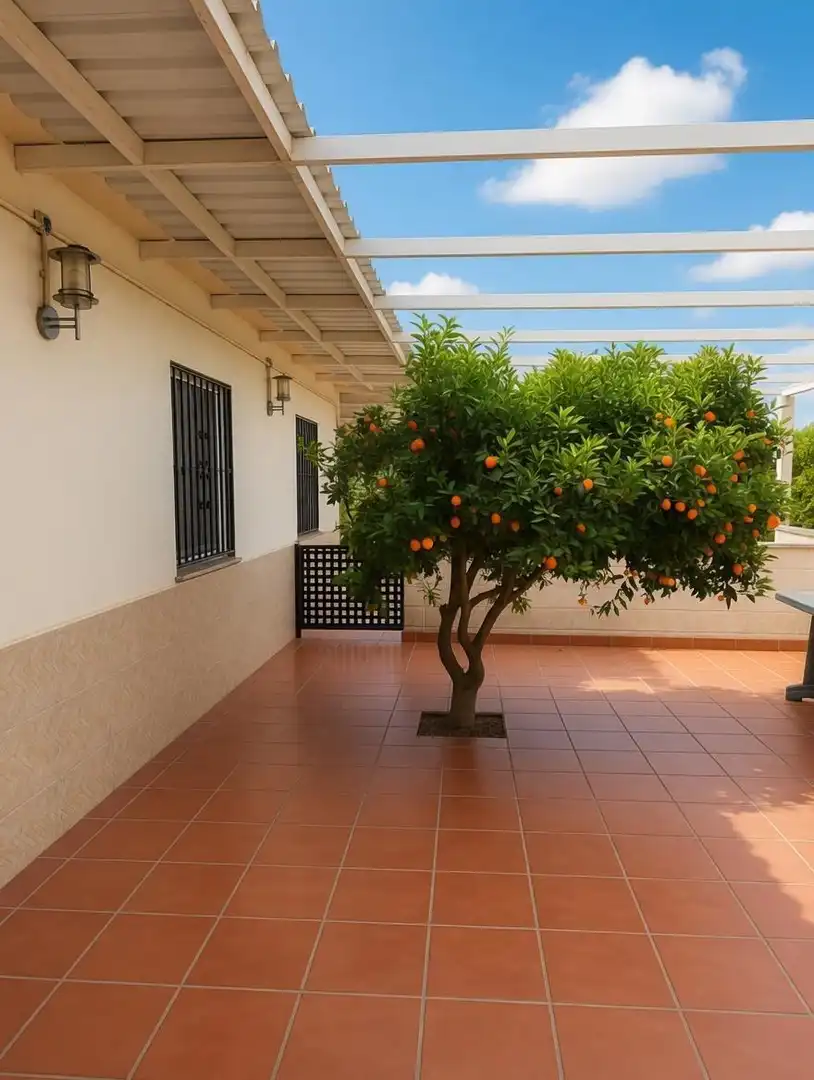 Terrace of Country homes for sale in Benicull de Xúquer  with Air Conditioner, Heating and Private garden