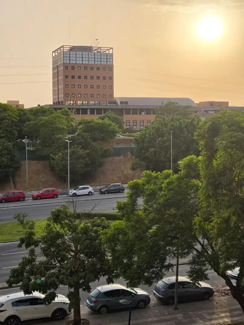 Piso de alquiler en Avenida del Doctor Manuel Domínguez, El Tejar - Hacienda Bizcochero
