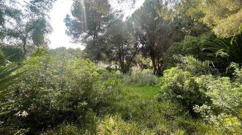 Photo 3 of Residential for sale in Carretera Carretera Artà, Port d'Alcúdia - Platja d'Alcúdia, Alcúdia