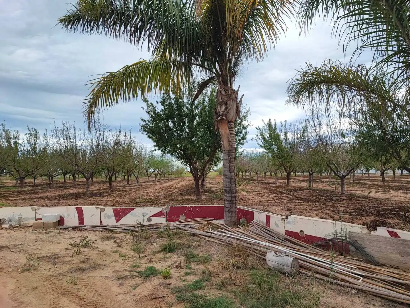 Lands and plots for sale in Sueca ciudad, imagen 11