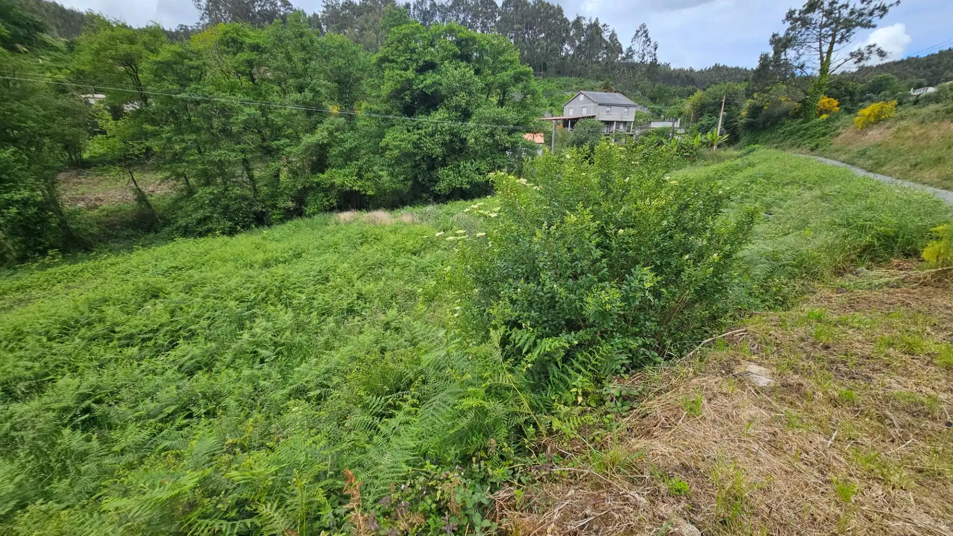 Terreni e lotti in vendita a Lugar BREGUA 0, imagen 10