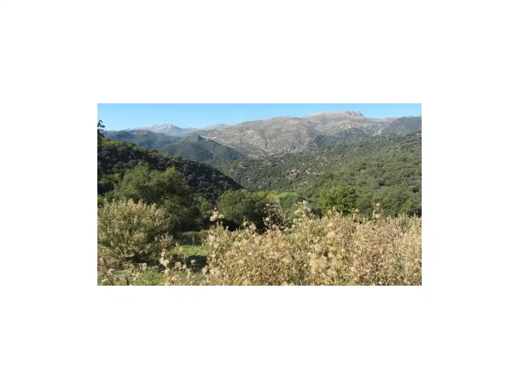 Exterior view of Houses for sale in Alpandeire