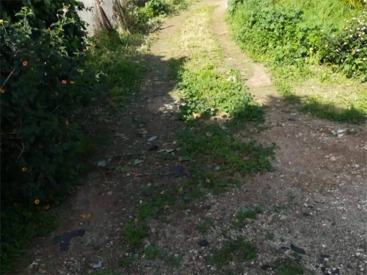 Fabrikhallen zur Miete in Torrox