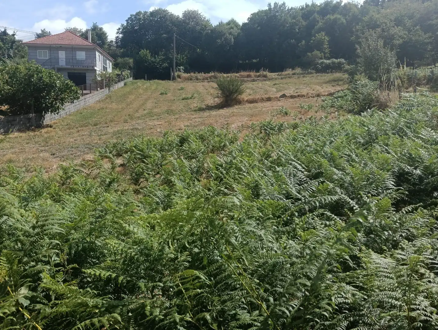 Finca rústica en venta en Lugar San Pedro, A Bola