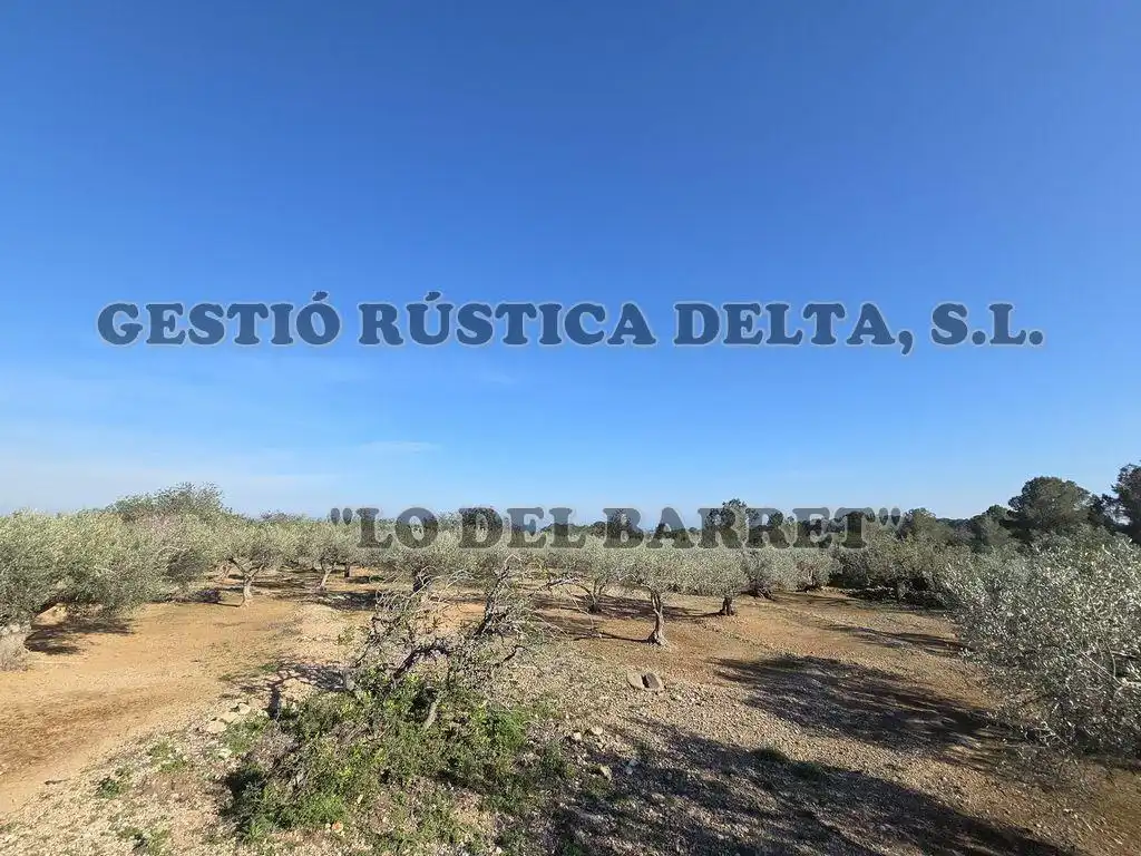 Finca rústica en venda en L'Ampolla amb Terrassa