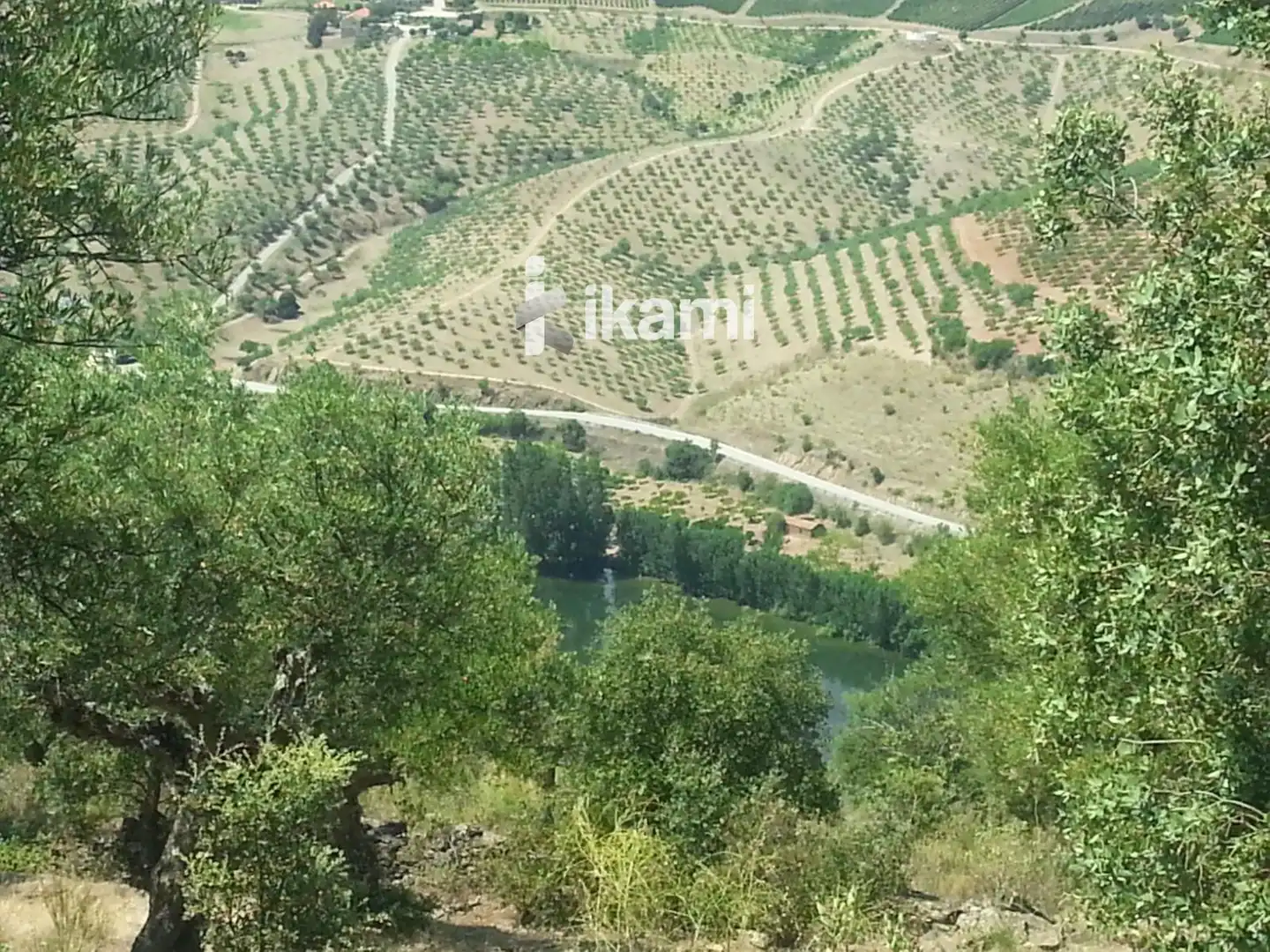 Terreno en venta en La Fregeneda 