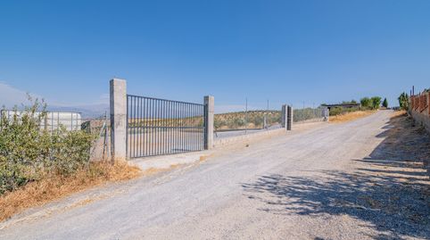 Foto 4 von Grundstücke zum Verkauf in N/a, -1, San Francisco - Chorillo, Las Gabias