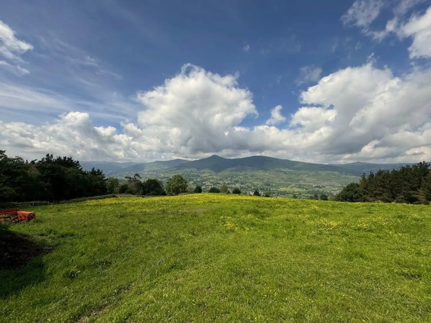 Land for sale in Molledo