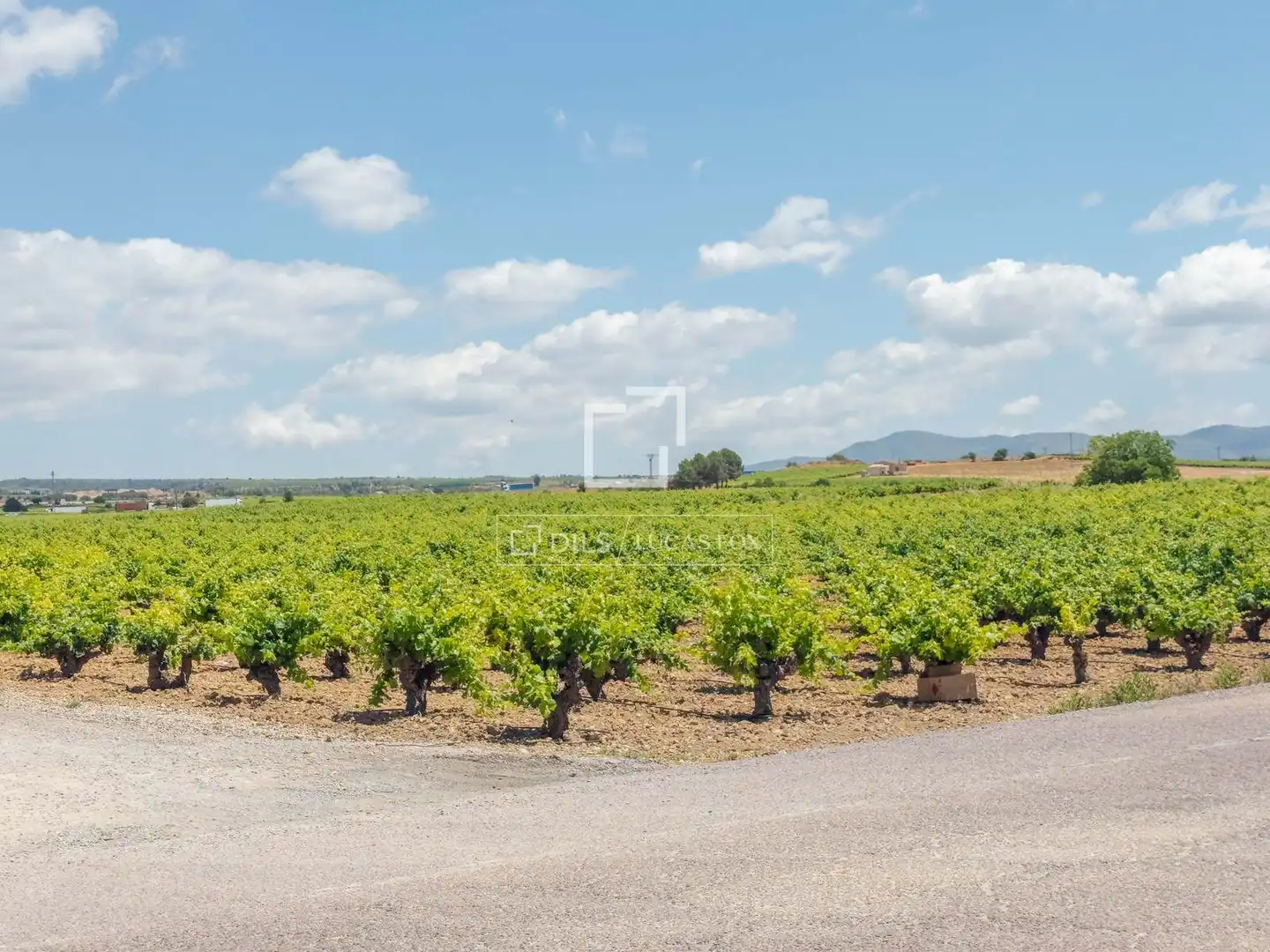 Finca rústica en venda en Requena amb Calefacció, Jardí privat i Terrassa