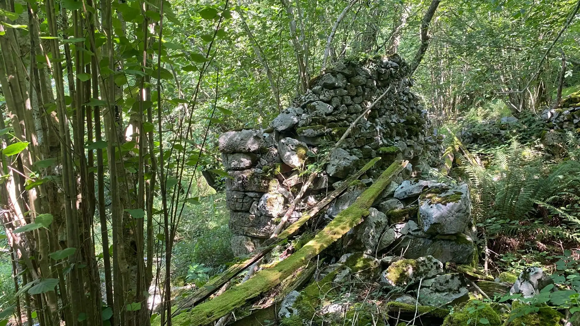 Terreno rustico in vendita a SEGÜENCO, imagen 33