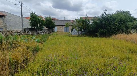 Foto 5 de Finca rústica en venta en Piñeira Seca, 56, Xinzo de Limia, Ourense