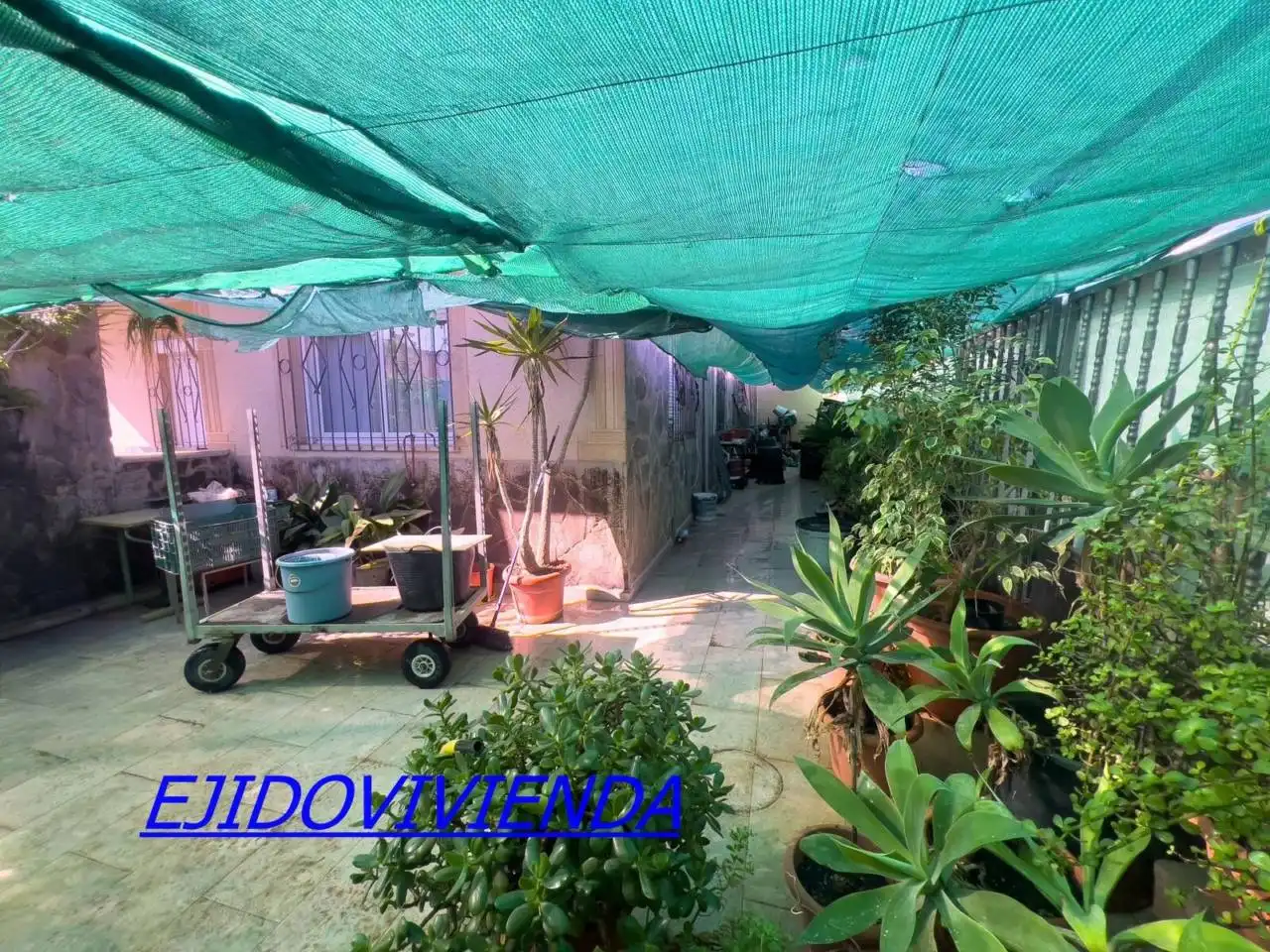 Jardín de Casa o chalet en venta en El Ejido con Jardín privado y Amueblado