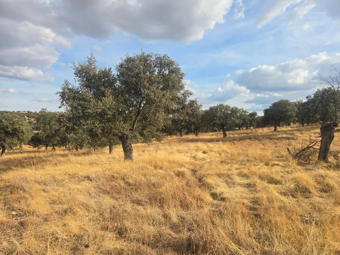 Country house zum Verkauf in Pedroche, Córdoba