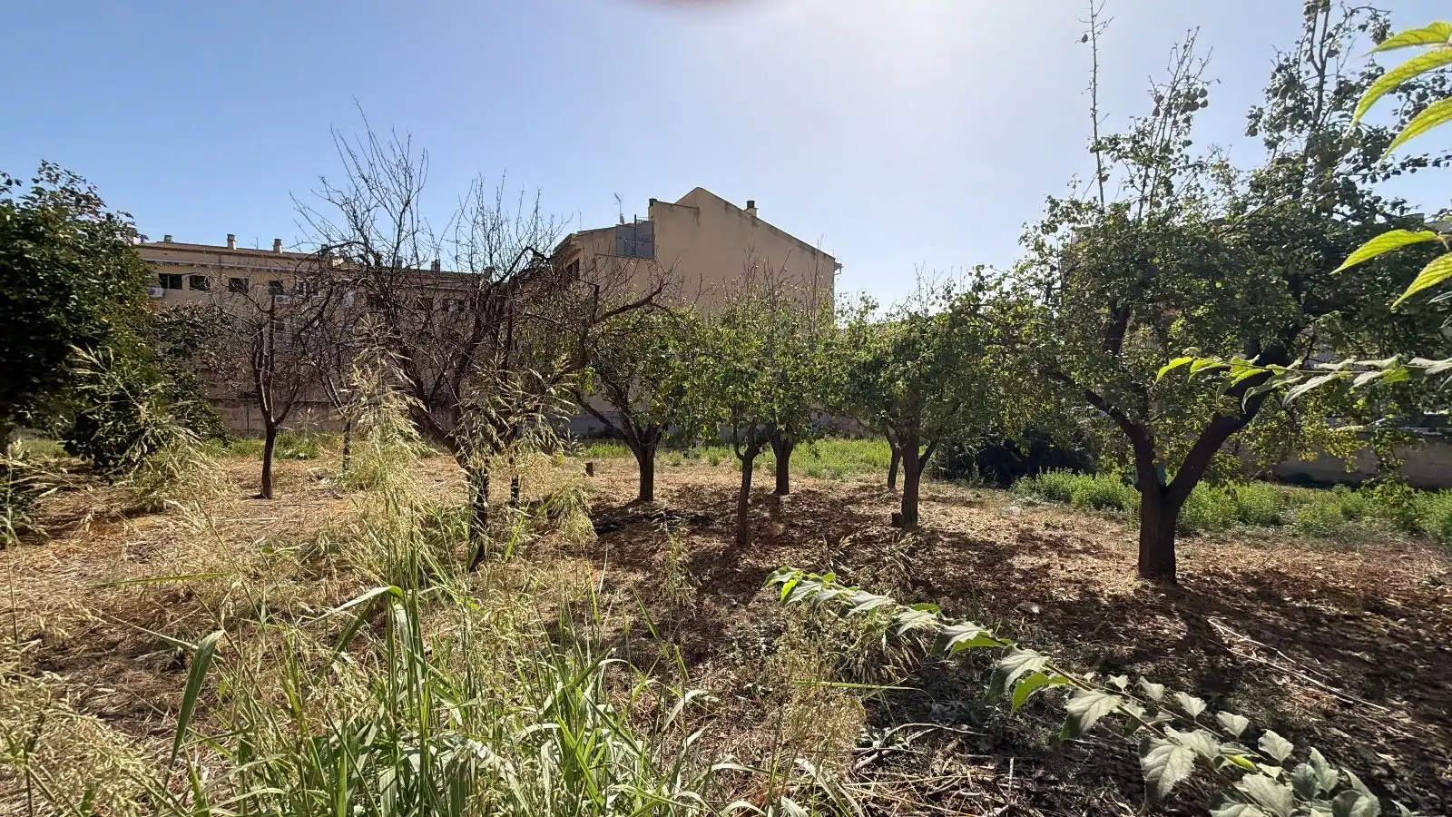 Residencial en venda en Lloseta