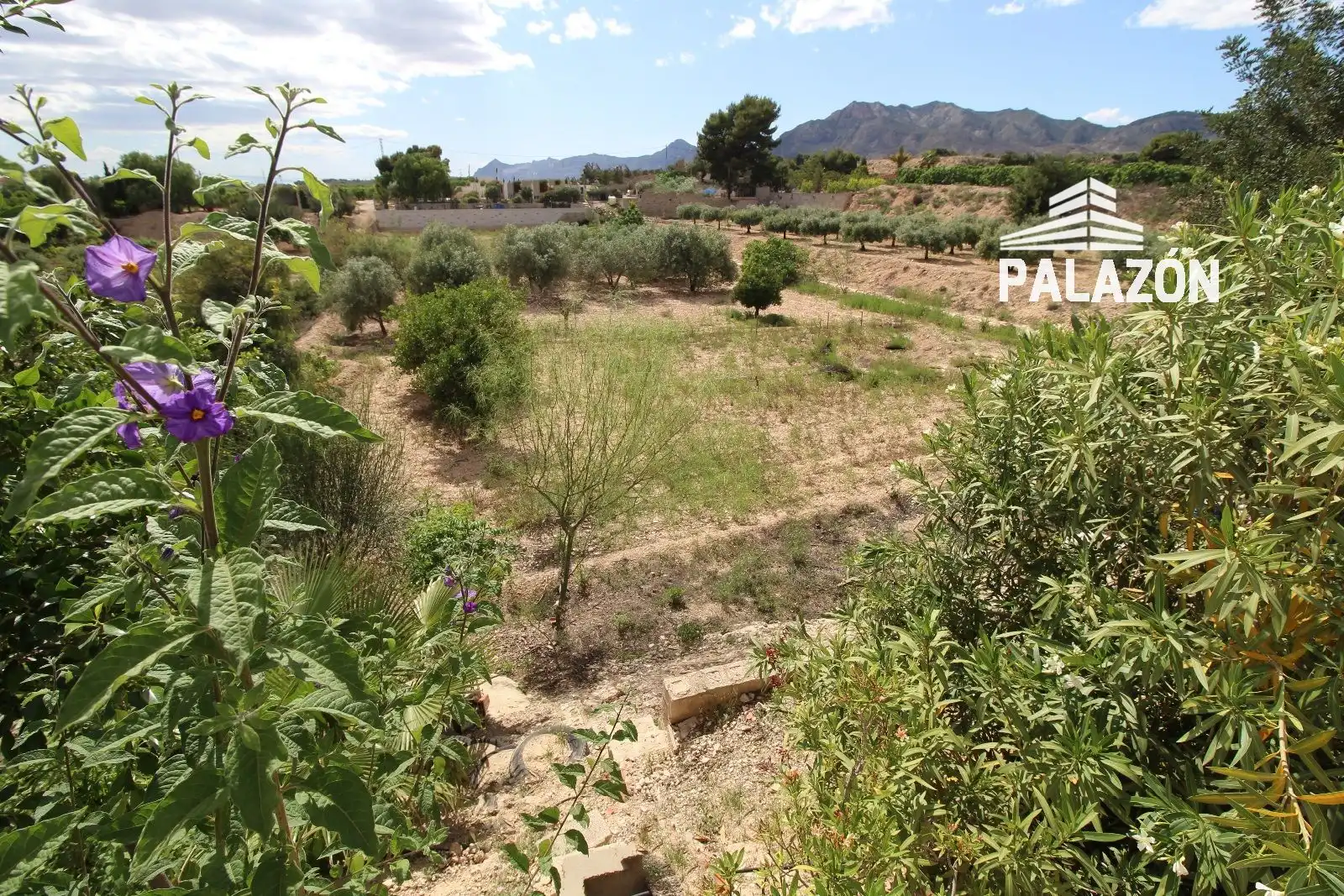 Villa avec piscine à vendre à Albatera, imagen 2