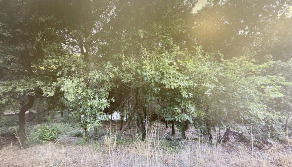 Photo 1 of Industrial land for sale in Font del Fumet, La Floresta, Barcelona