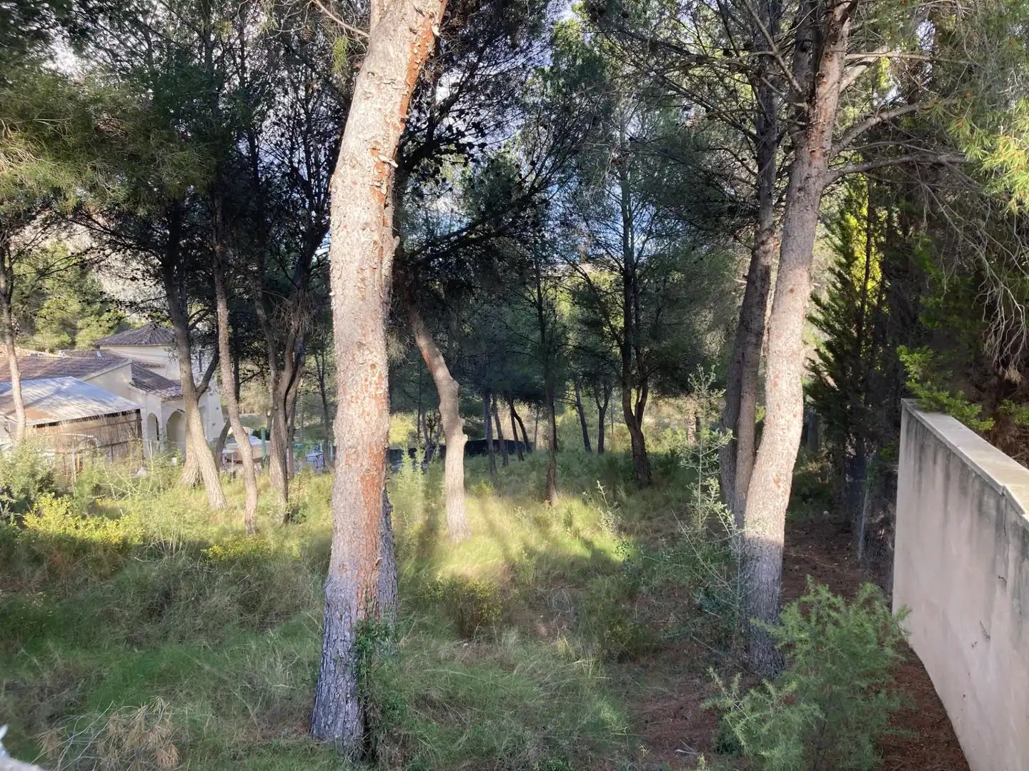 Terreny residencial en venda a Urbanización Pinares del Mecli Izqd, imagen 5