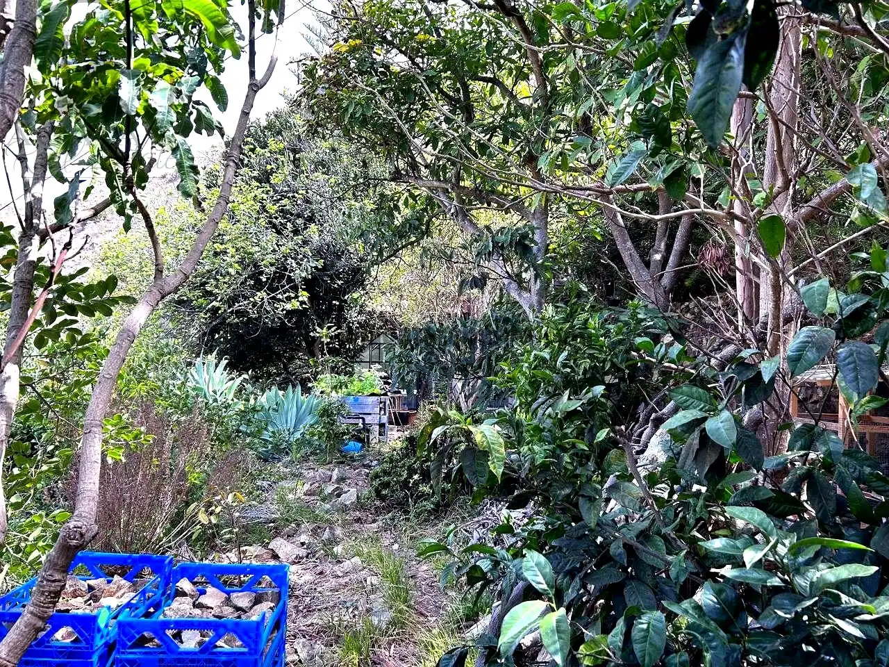 Finca rústica en venta en Vallehermoso con Aire acondicionado, Calefacción y Jardín privado