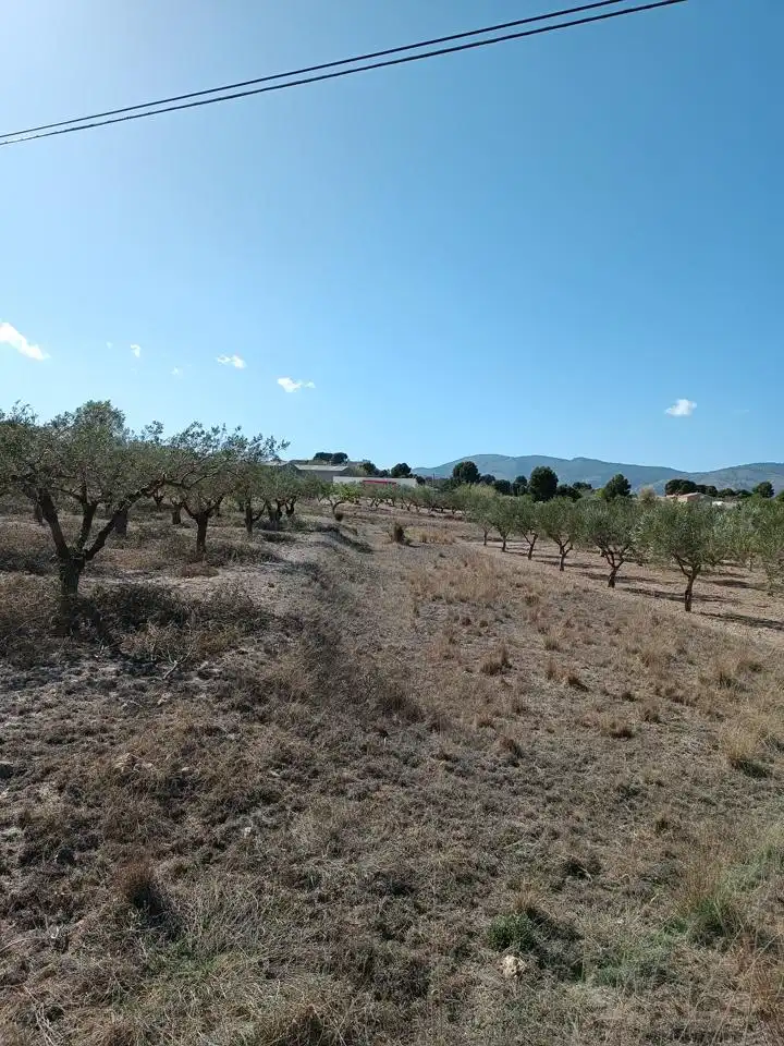 Terreny rústic en venda a Castalla, imagen 6