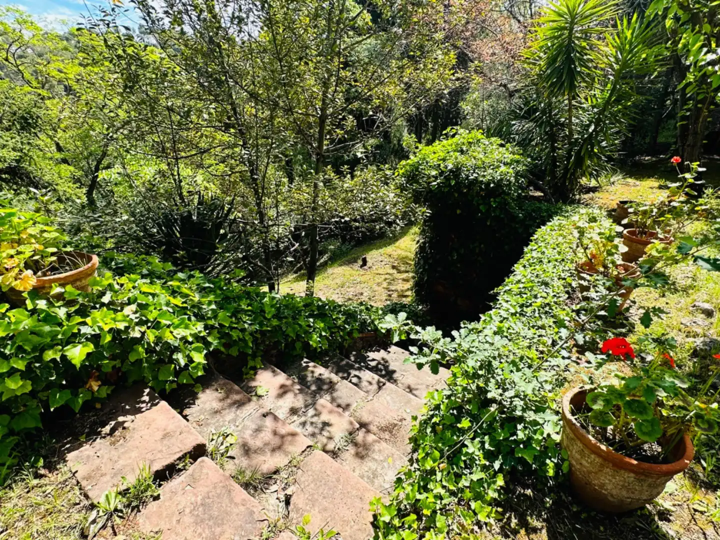 Maison avec jardin à vendre à Castellví de Rosanes, imagen 7