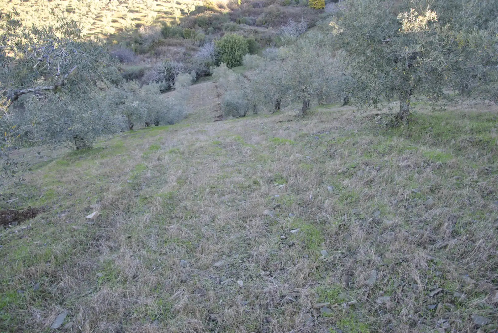 Terreno en venta en La Pesga 