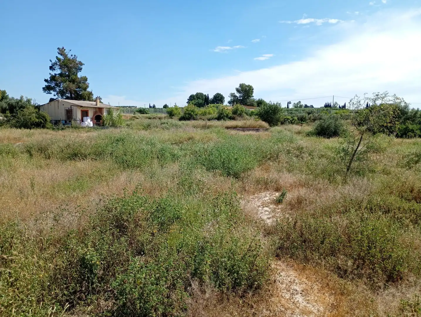 Grundstücke und Bauplätze zum Verkauf in Lorquí, imagen 10