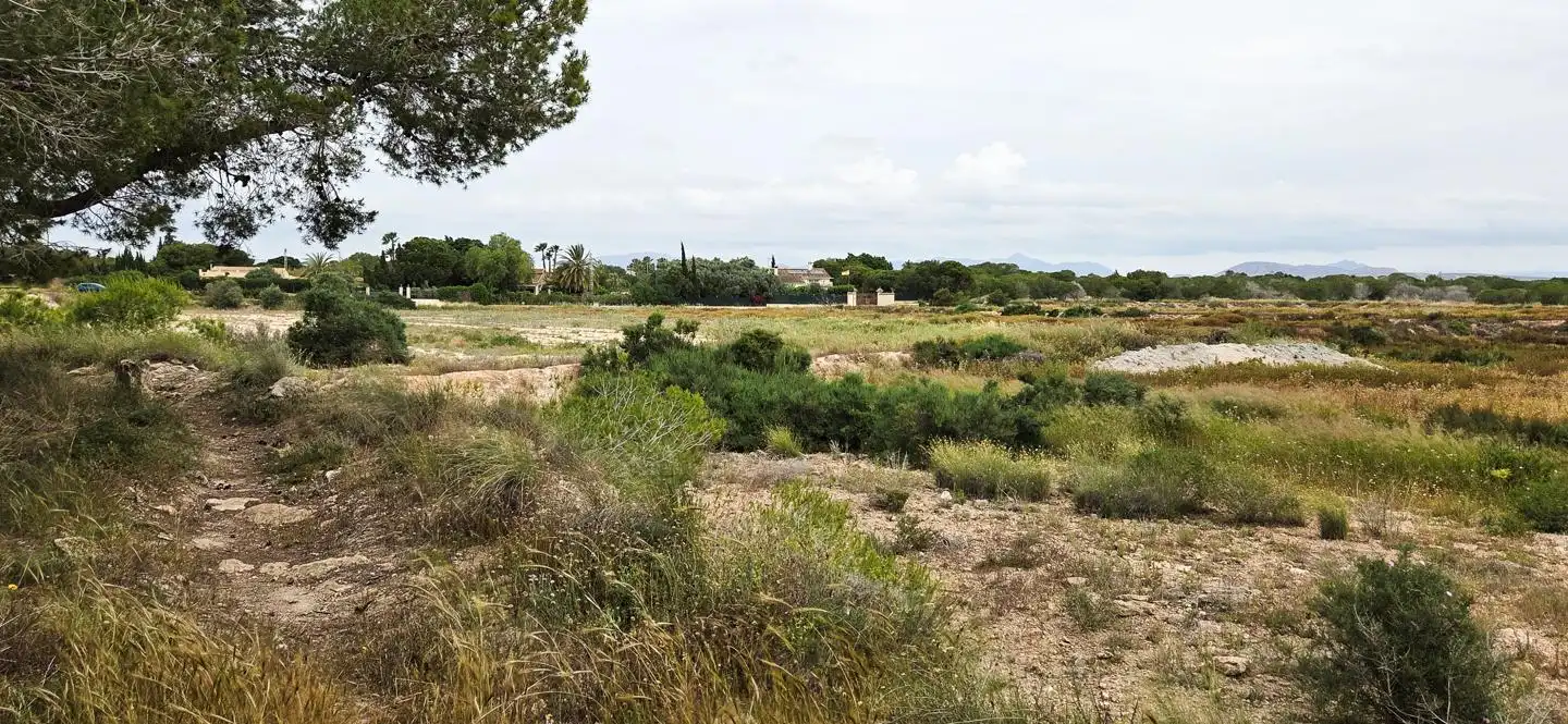 Residential zum Verkauf in Elche / Elx