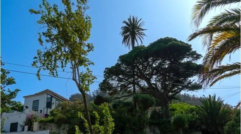 Foto 5 de Casa o xalet en venda a Carretera General a Punta Hidalgo, Tegueste, Santa Cruz de Tenerife